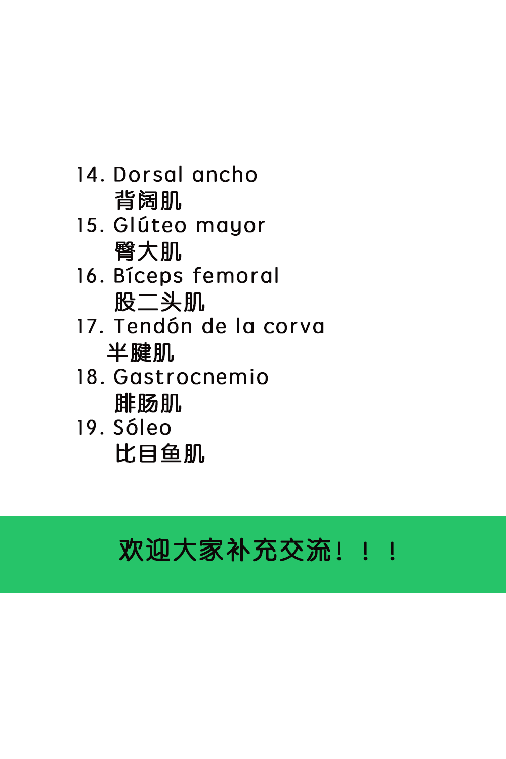 西班牙语 I 人体各部分肌肉词汇(图3)